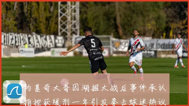 约基奇大哥因湖掘大战后事件承认指控获缓刑一年引发拳击球迷热议