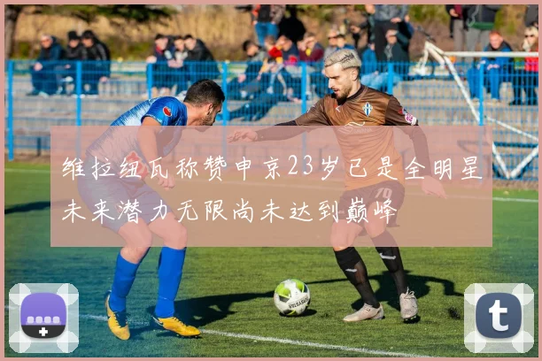 维拉纽瓦称赞申京23岁已是全明星未来潜力无限尚未达到巅峰