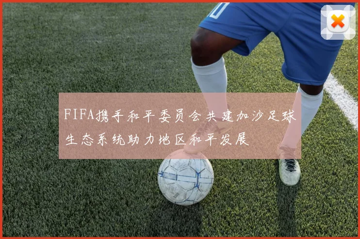 FIFA携手和平委员会共建加沙足球生态系统助力地区和平发展