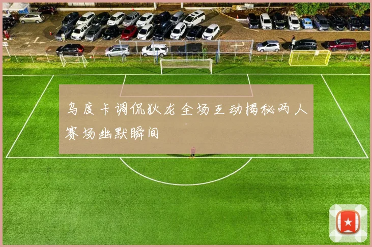 乌度卡调侃狄龙全场互动揭秘两人赛场幽默瞬间