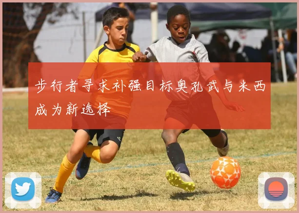 步行者寻求补强目标奥孔武与米西成为新选择