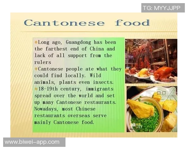 杨瀚森的日常生活：翻译工作与自制美食的简单乐趣